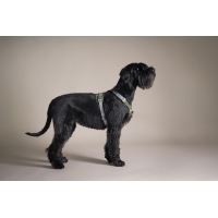 Hurtta Hundegeschirr Rover Harness forest