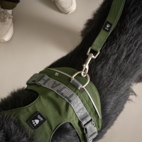 Hurtta Hundegeschirr Rover Harness forest
