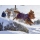 Hurtta Wärmende Hundejacke Warming Midlayer eggplant