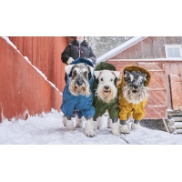 Hurtta Hunde-Overall Extreme Overall II arctic sea