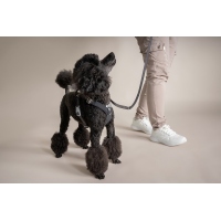 Hurtta Hundegeschirr Seeker Harness raven