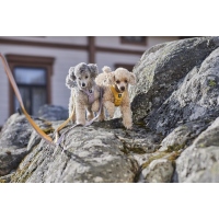 Hurtta Hundeleine Seeker Standard Leash raven